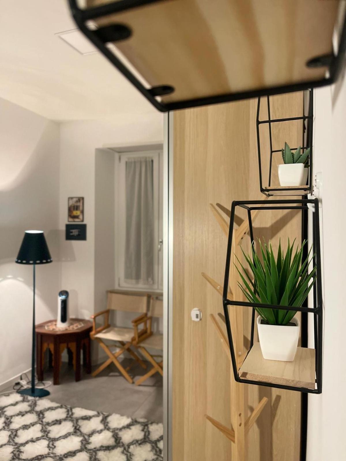 Apartment - Modern Flat